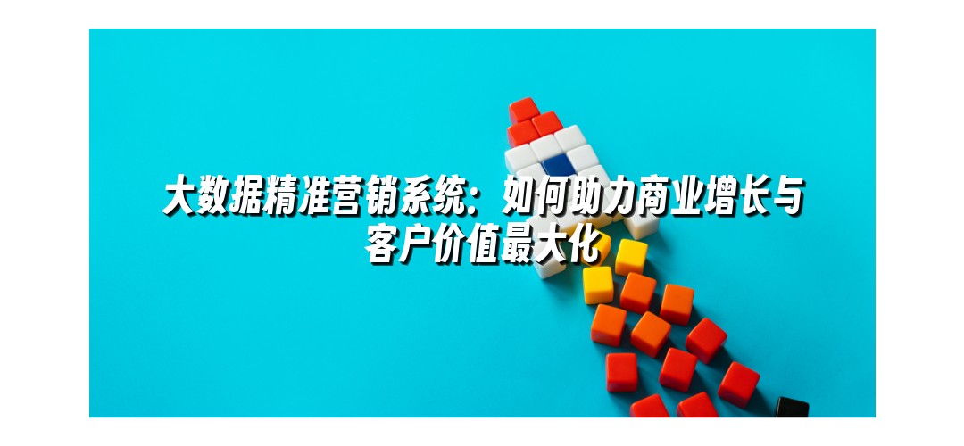 大数据精准营销系统：如何助力商业增长与客户价值最大化