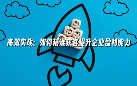 高效实战:如何精准获客提升企业盈利能力 高效实战:如何精准获客提升企业盈利能力