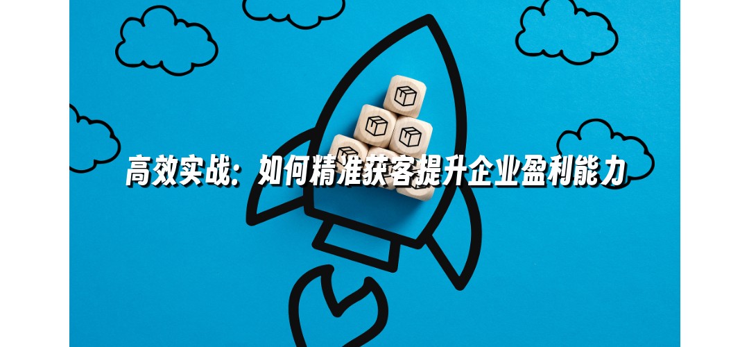 高效实战：如何精准获客提升企业盈利能力