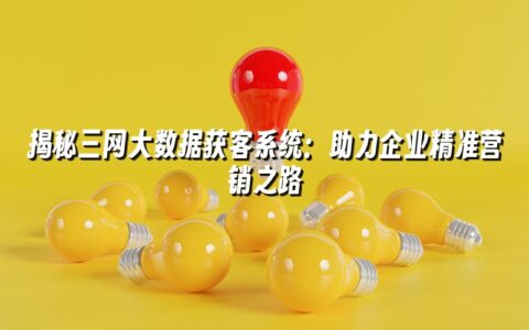 揭秘三网大数据获客系统：助力企业精准营销之路