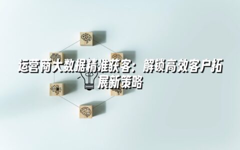 运营商大数据精准获客:解锁高效客户拓展新策略 运营商大数据精准获客:解锁高效客户拓展新策略