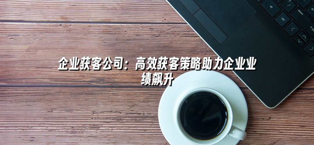 企业获客公司：高效获客策略助力企业业绩飙升
