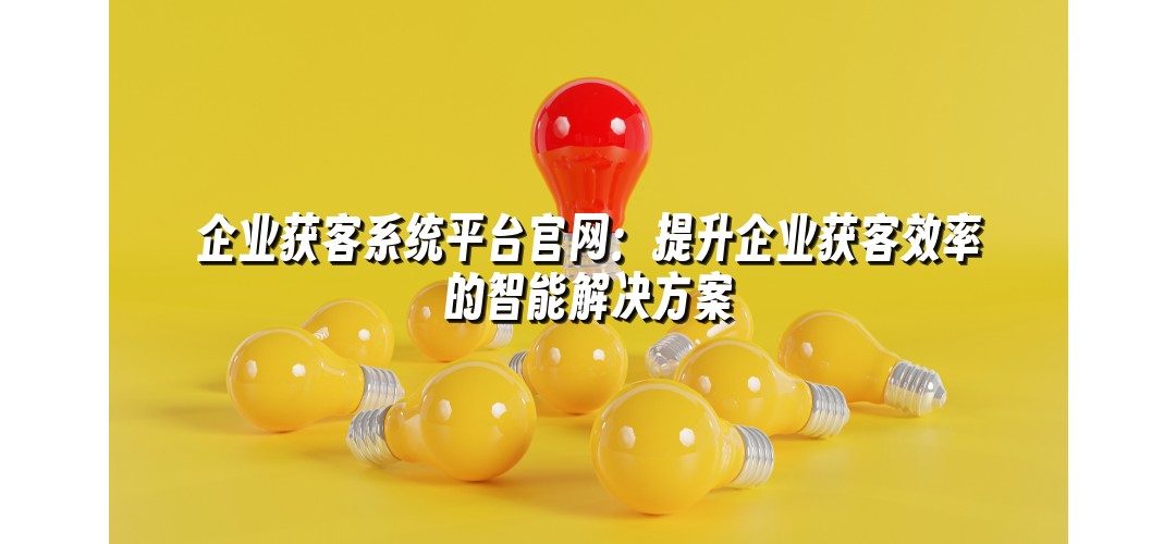 企业获客系统平台官网：提升企业获客效率的智能解决方案