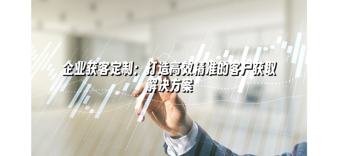 企业获客定制：打造高效精准的客户获取解决方案