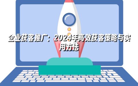 企业获客推广:2024年高效获客策略与实用方法 企业获客推广:2024年高效获客策略与实用方法
