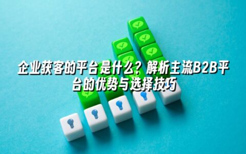 企业获客的平台是什么?解析主流B2B平台的优势与选择技巧 企业获客的平台是什么?解析主流B2B平台的优势与选择技巧