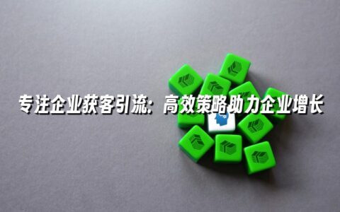 专注企业获客引流：高效策略助力企业增长