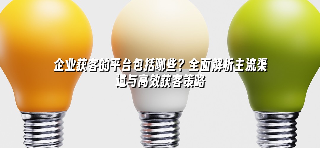 企业获客的平台包括哪些？全面解析主流渠道与高效获客策略