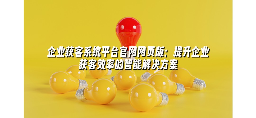 企业获客系统平台官网网页版：提升企业获客效率的智能解决方案