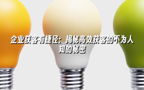 企业获客有捷径:揭秘高效获客的不为人知的秘密 企业获客有捷径:揭秘高效获客的不为人知的秘密