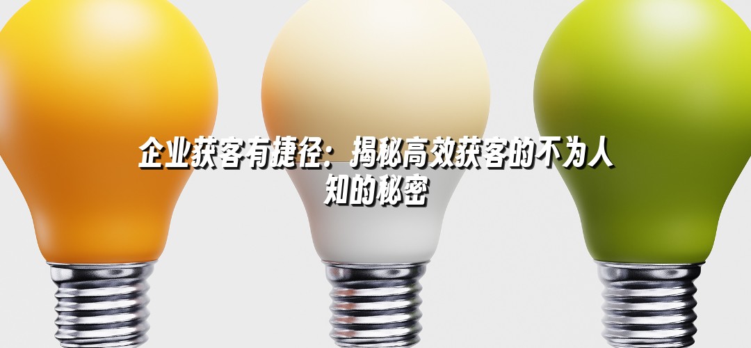 企业获客有捷径：揭秘高效获客的不为人知的秘密