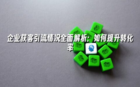 企业获客引流情况全面解析:如何提升转化率 企业获客引流情况全面解析:如何提升转化率