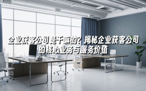 企业获客公司是干嘛的?揭秘企业获客公司的核心业务与服务价值 企业获客公司是干嘛的?揭秘企业获客公司的核心业务与服务价值