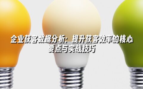 企业获客数据分析:提升获客效率的核心要点与实战技巧 企业获客数据分析:提升获客效率的核心要点与实战技巧