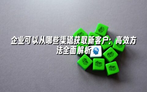 企业可以从哪些渠道获取新客户:高效方法全面解析 企业可以从哪些渠道获取新客户:高效方法全面解析