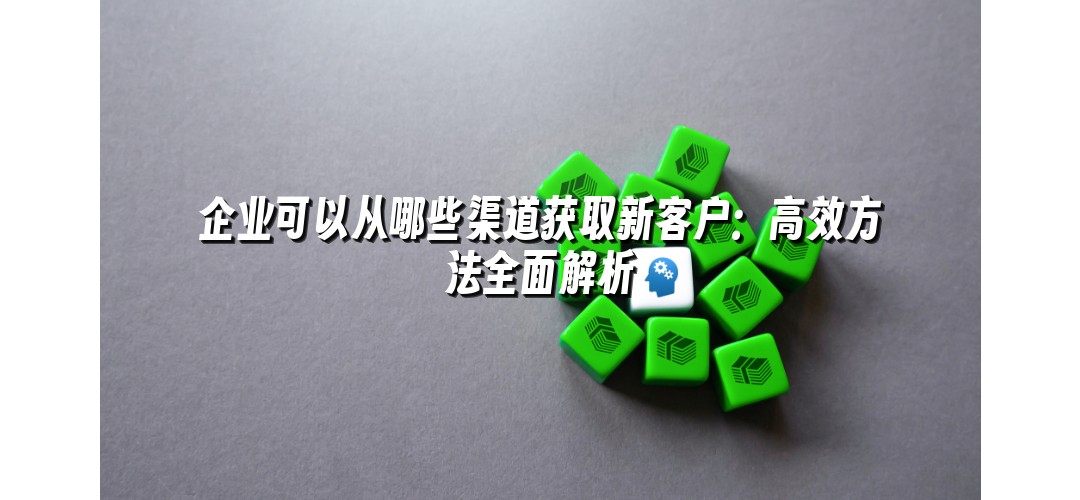 企业可以从哪些渠道获取新客户：高效方法全面解析