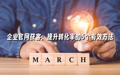 企业官网获客：提升转化率的5个有效方法