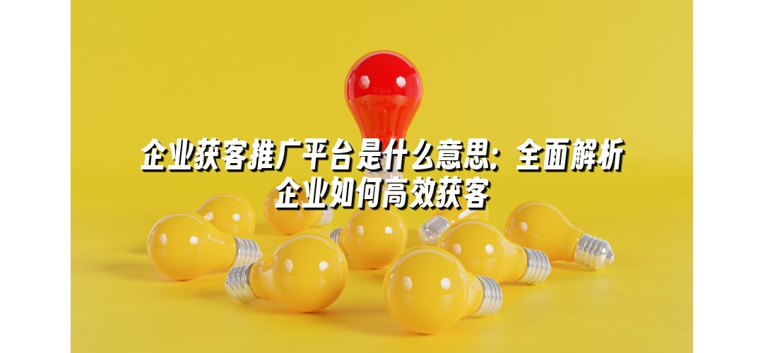 企业获客推广平台是什么意思：全面解析企业如何高效获客