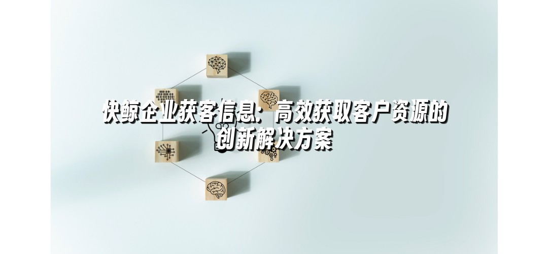 快鲸企业获客信息：高效获取客户资源的创新解决方案