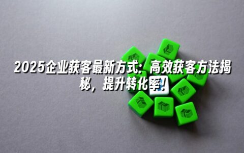 2025企业获客最新方式：高效获客方法揭秘，提升转化率！