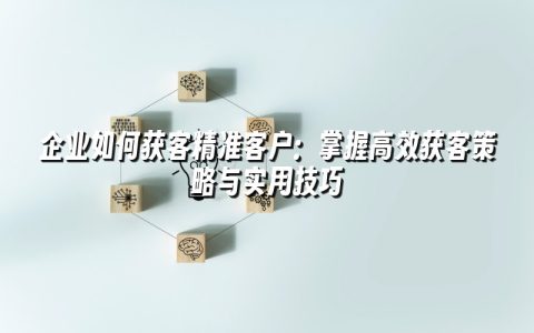 企业如何获客精准客户：掌握高效获客策略与实用技巧