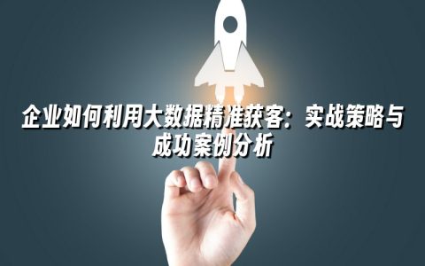 企业如何利用大数据精准获客:实战策略与成功案例分析 企业如何利用大数据精准获客:实战策略与成功案例分析