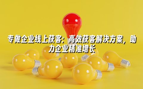 专做企业线上获客:高效获客解决方案,助力企业精准增长 专做企业线上获客:高效获客解决方案,助力企业精准增长