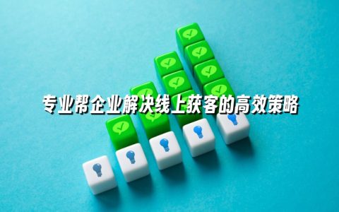 专业帮企业解决线上获客的高效策略 专业帮企业解决线上获客的高效策略