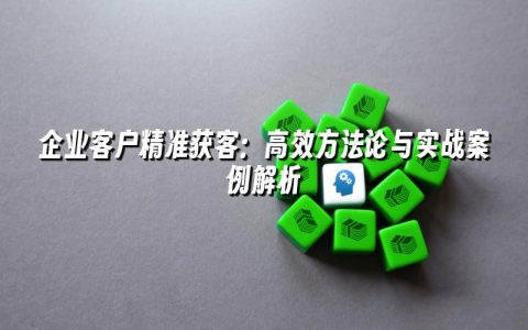 企业客户精准获客:高效方法论与实战案例解析 企业客户精准获客:高效方法论与实战案例解析
