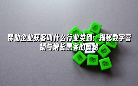 帮助企业获客叫什么行业类别：揭秘数字营销与增长黑客的奥秘