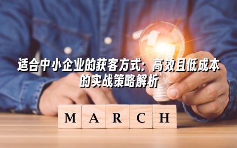 适合中小企业的获客方式:高效且低成本的实战策略解析 适合中小企业的获客方式:高效且低成本的实战策略解析