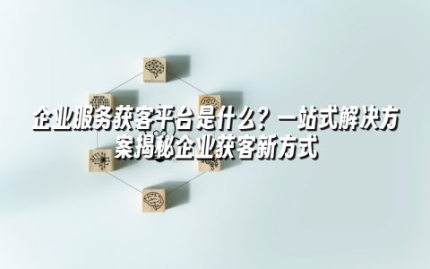 企业服务获客平台是什么?一站式解决方案揭秘企业获客新方式 企业服务获客平台是什么?一站式解决方案揭秘企业获客新方式