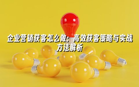 企业营销获客怎么做:高效获客策略与实战方法解析 企业营销获客怎么做:高效获客策略与实战方法解析