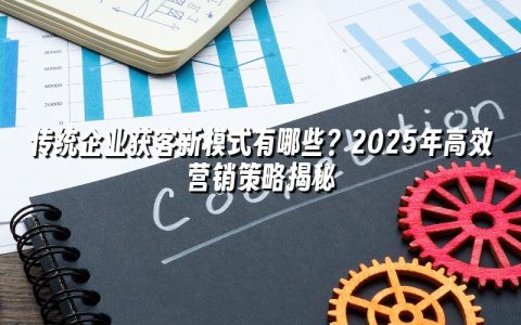 传统企业获客新模式有哪些?2025年高效营销策略揭秘 传统企业获客新模式有哪些?2025年高效营销策略揭秘