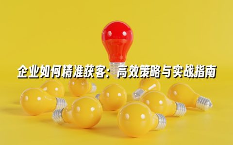 企业如何精准获客:高效策略与实战指南 企业如何精准获客:高效策略与实战指南