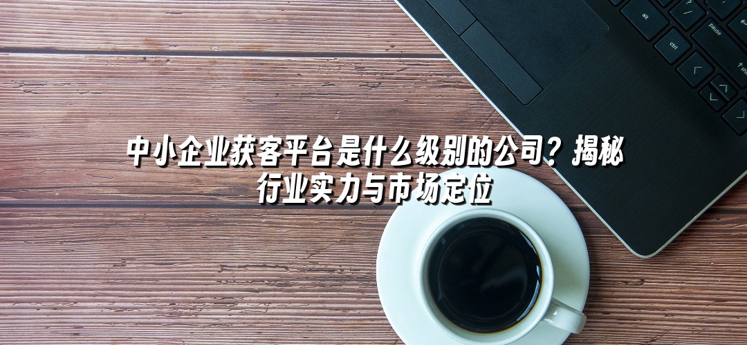 中小企业获客平台是什么级别的公司？揭秘行业实力与市场定位