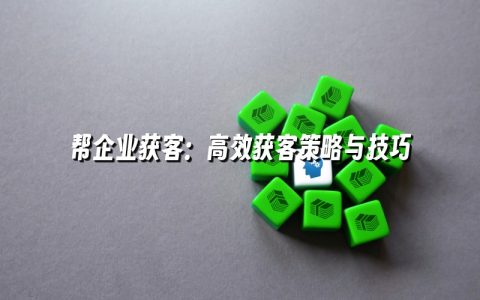 帮企业获客:高效获客策略与技巧 帮企业获客:高效获客策略与技巧