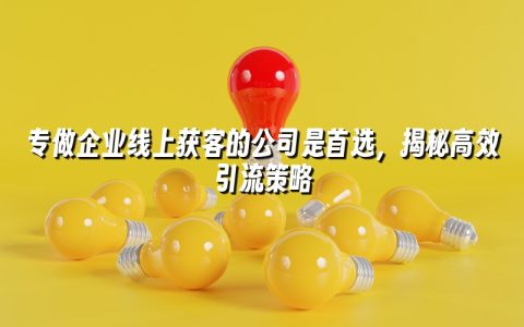 专做企业线上获客的公司是首选,揭秘高效引流策略 专做企业线上获客的公司是首选,揭秘高效引流策略