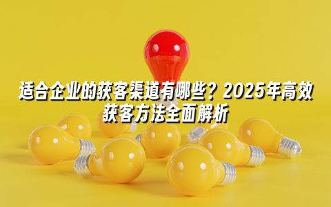 适合企业的获客渠道有哪些?2025年高效获客方法全面解析 适合企业的获客渠道有哪些?2025年高效获客方法全面解析