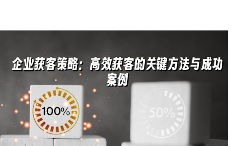 企业获客策略:高效获客的关键方法与成功案例 企业获客策略:高效获客的关键方法与成功案例