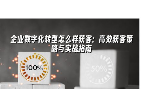 企业数字化转型怎么样获客：高效获客策略与实战指南