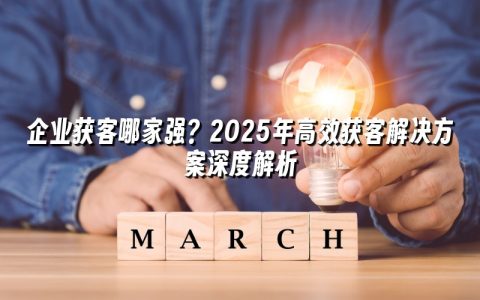 企业获客哪家强？2025年高效获客解决方案深度解析
