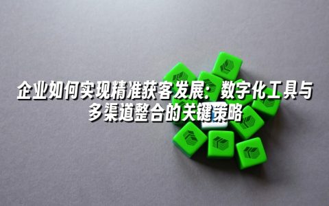 企业如何实现精准获客发展：数字化工具与多渠道整合的关键策略