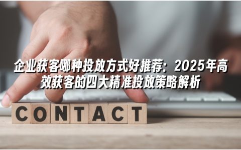 企业获客哪种投放方式好推荐：2025年高效获客的四大精准投放策略解析