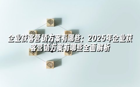 企业获客营销方案有哪些:2025年企业获客营销方案有哪些全面解析 企业获客营销方案有哪些:2025年企业获客营销方案有哪些全面解析