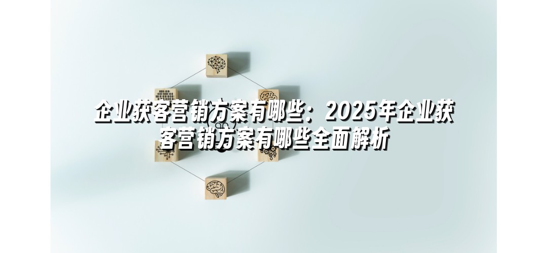 企业获客营销方案有哪些：2025年企业获客营销方案有哪些全面解析
