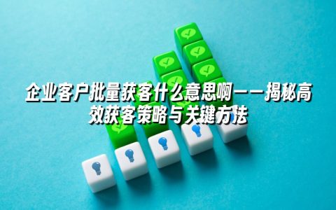 企业客户批量获客什么意思啊——揭秘高效获客策略与关键方法 企业客户批量获客什么意思啊——揭秘高效获客策略与关键方法