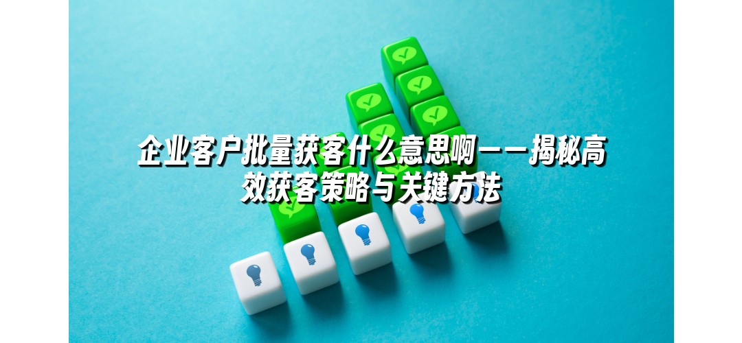 企业客户批量获客什么意思啊——揭秘高效获客策略与关键方法