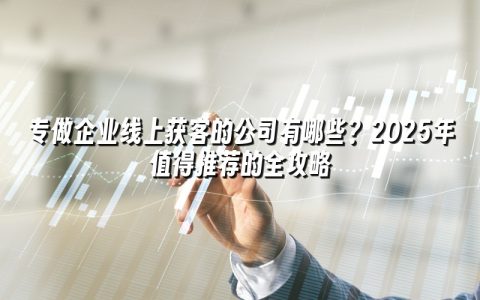 专做企业线上获客的公司有哪些？2025年值得推荐的全攻略