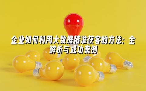 企业如何利用大数据精准获客的方法：全解析与成功案例